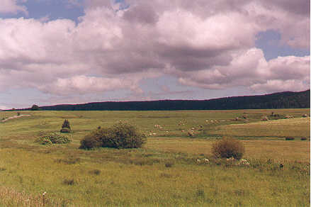 Between Mouthe and Malbuisson, France, 11 june 2001