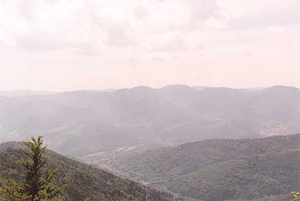 Between the Grand Ballon and Le Markstein, France, 13 june 2001