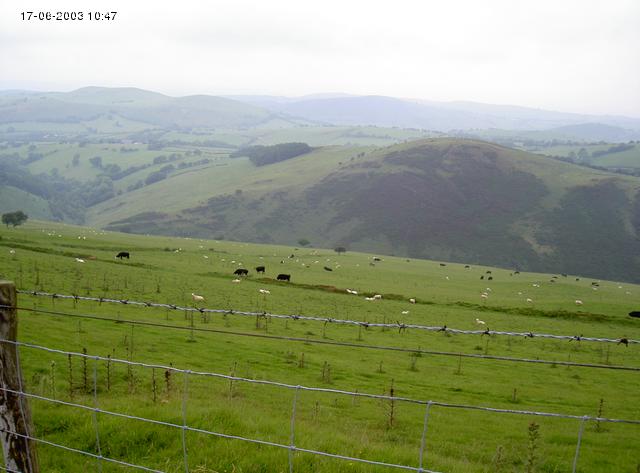 Cambrian Mountains, 17-06-2003